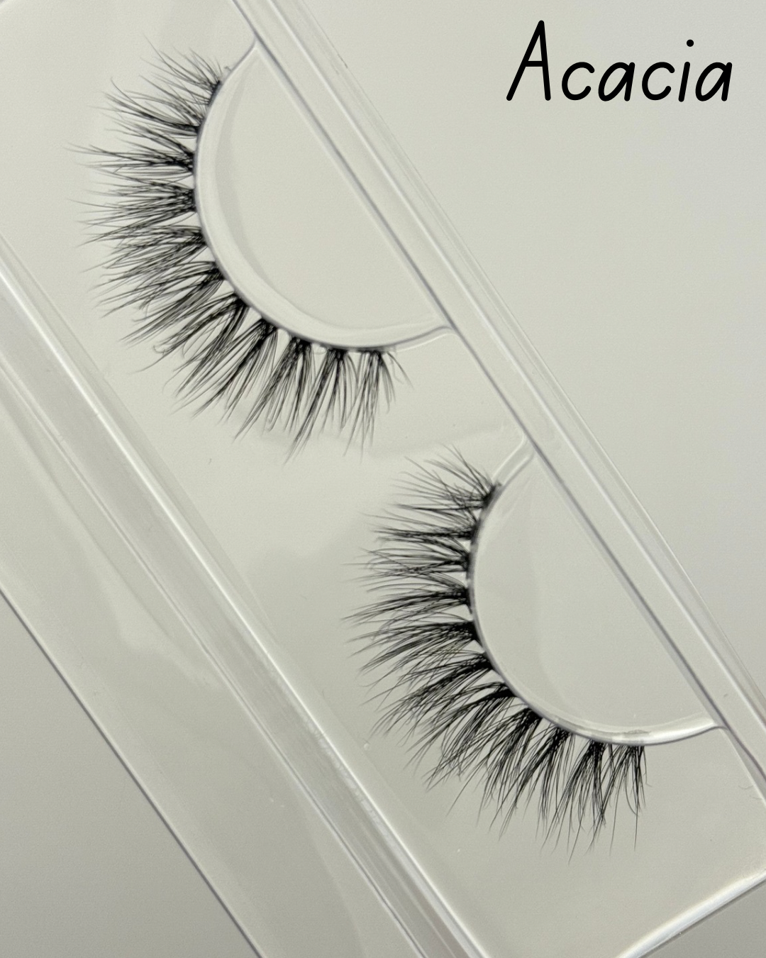 Acacia - Single Lash Strip