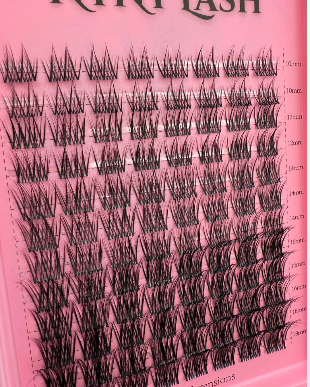 Morpho - Lash Kit