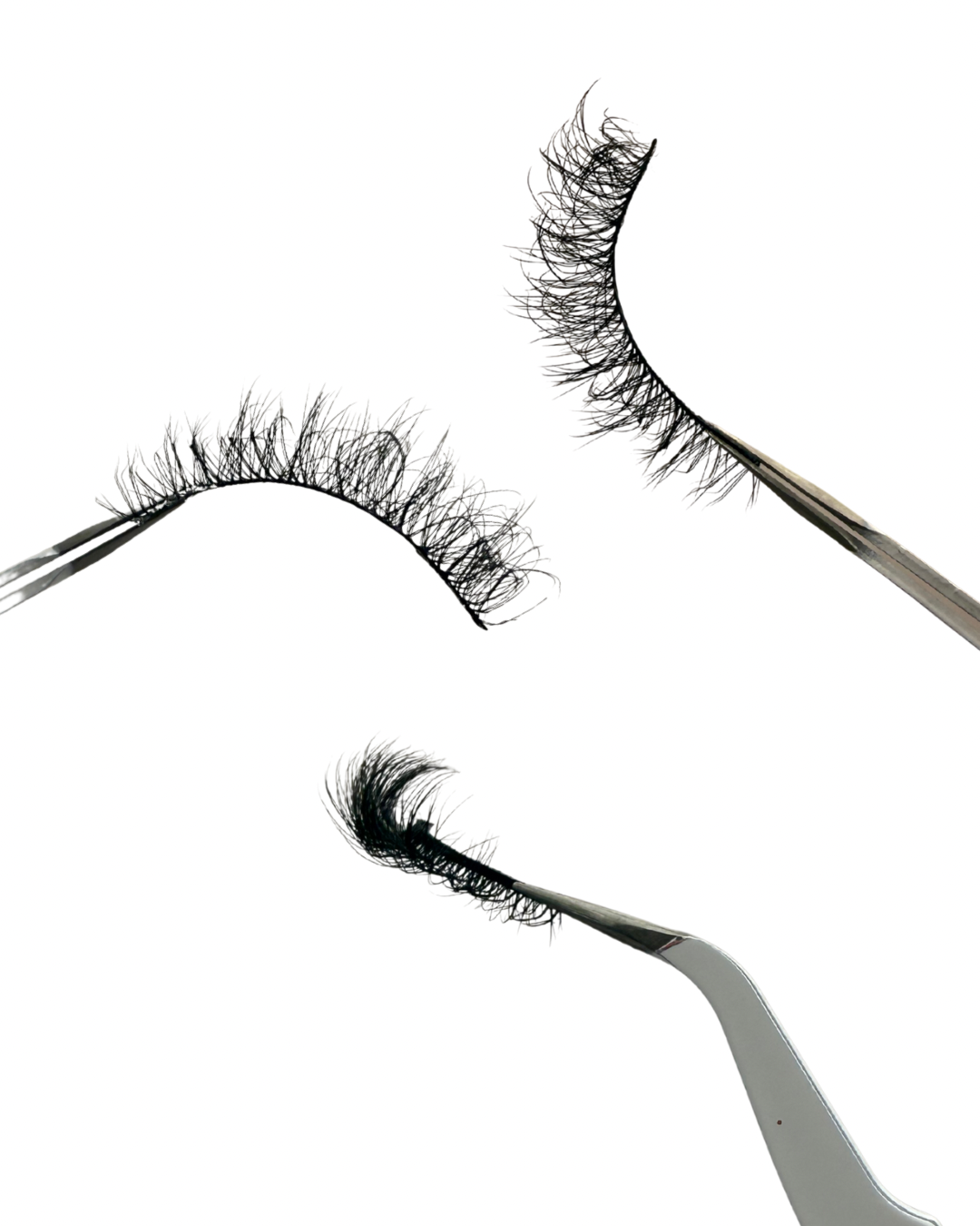 Kiwi - 5 Pack Lash Strips