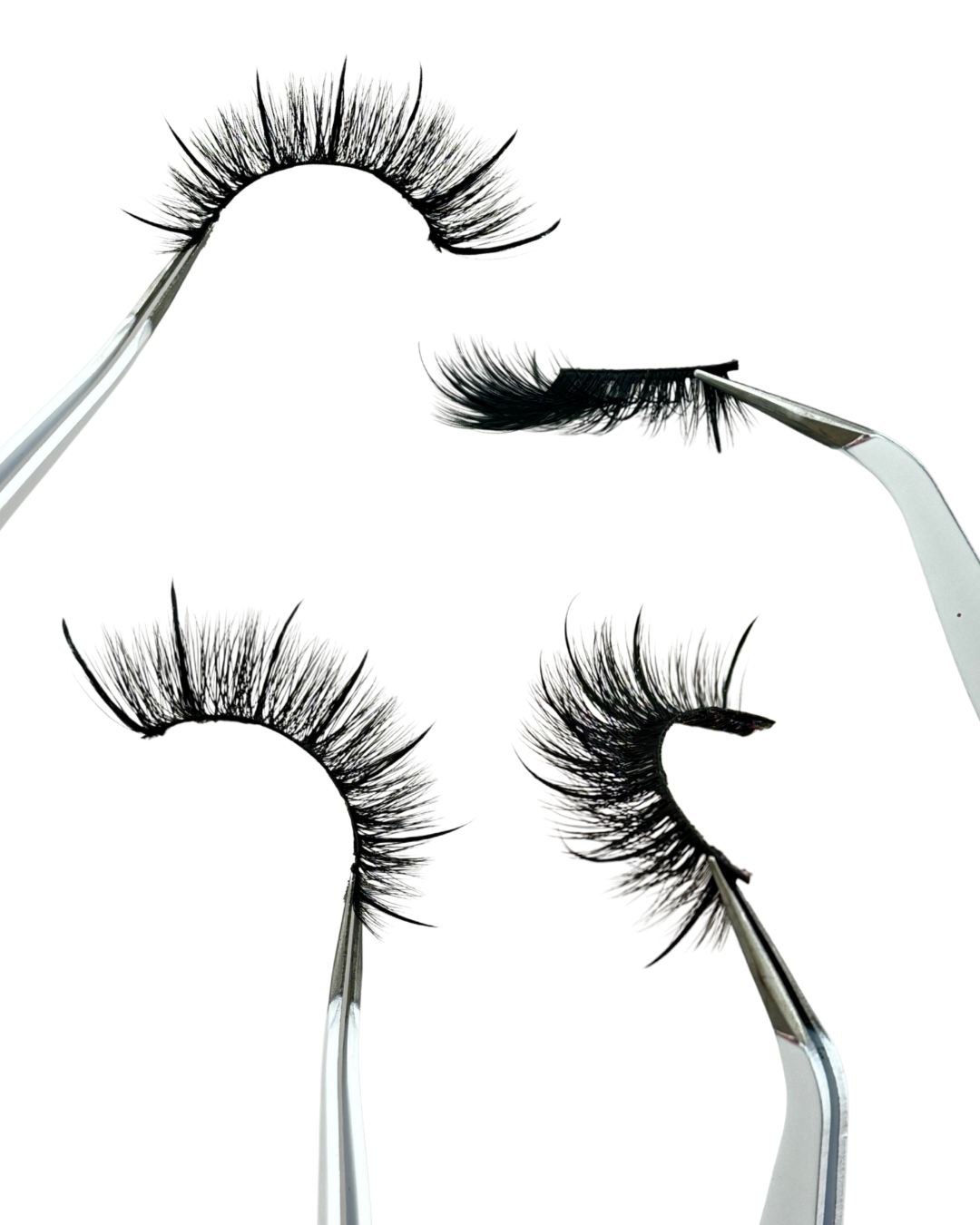 Dove - 5 Pack “Claw” Lash Strips