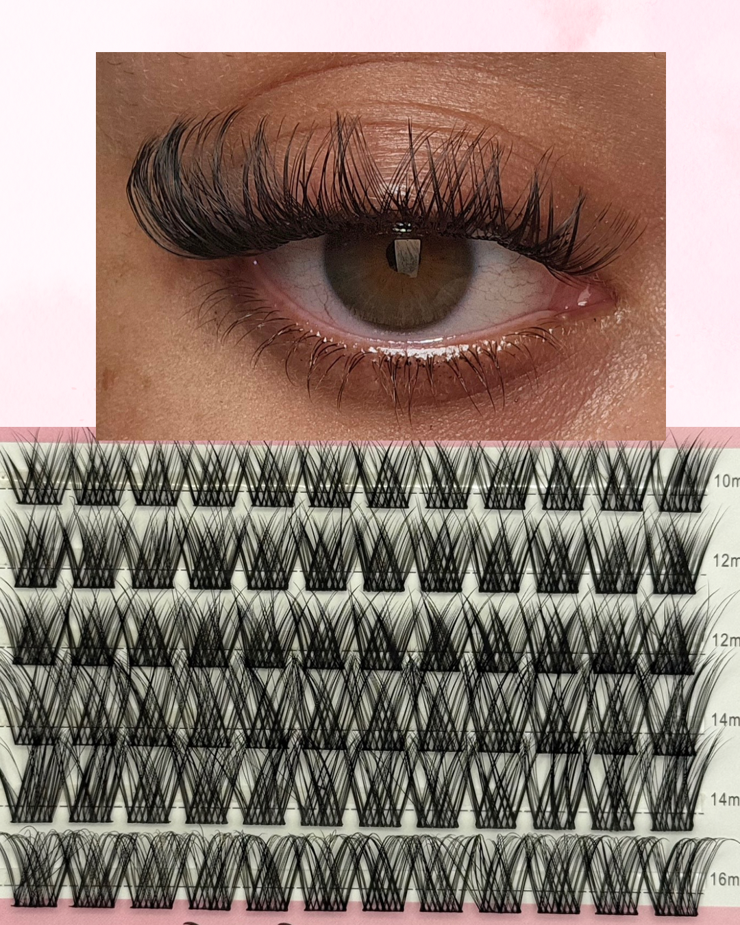 Morello - Individual Lashes