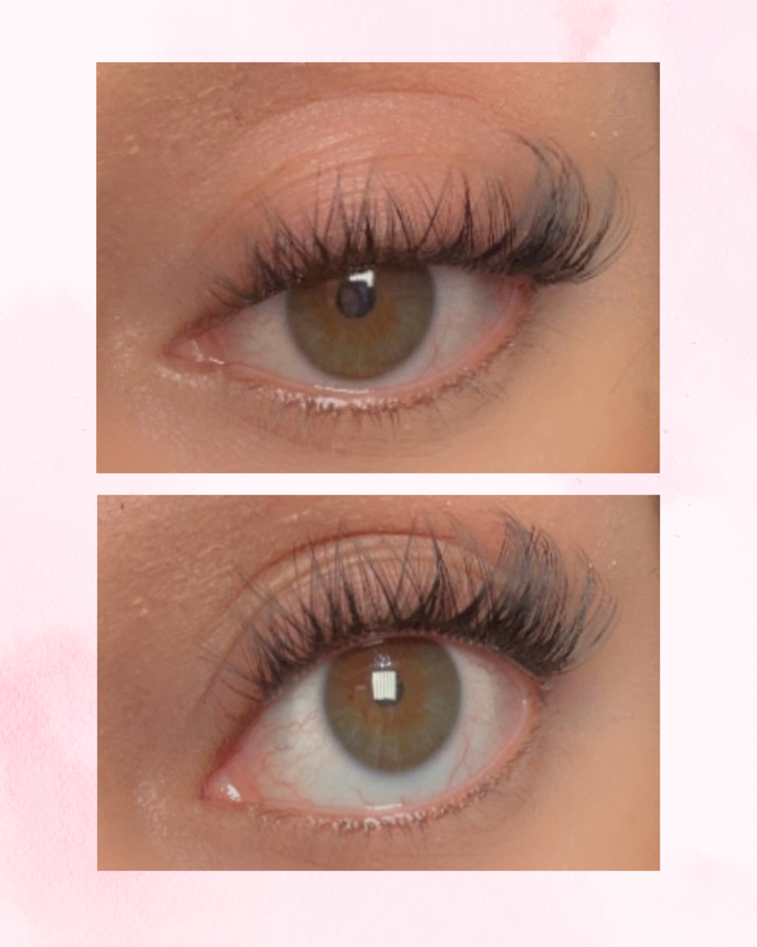Coral - Individual Lashes