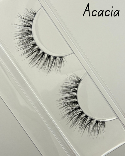 Acacia - Single Lash Strip