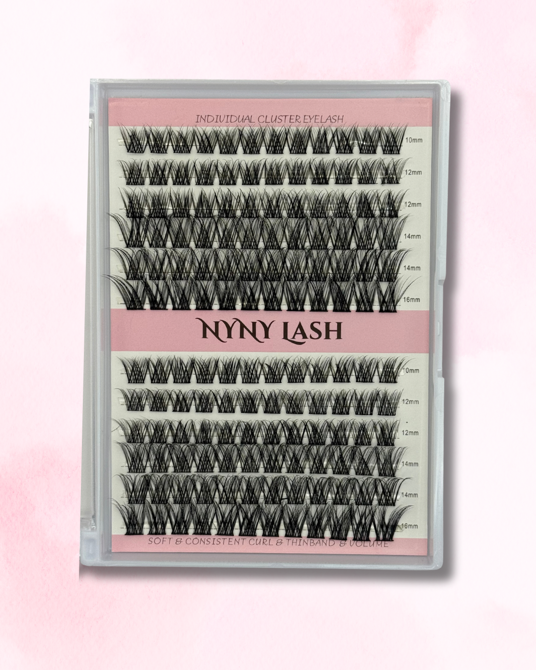 Regina - Individual Lashes