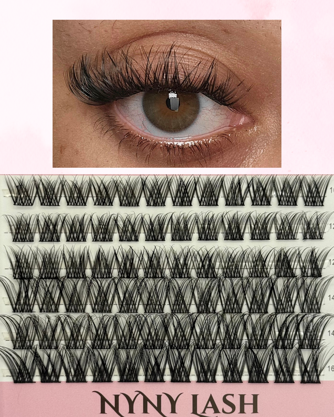 Regina - Individual Lashes